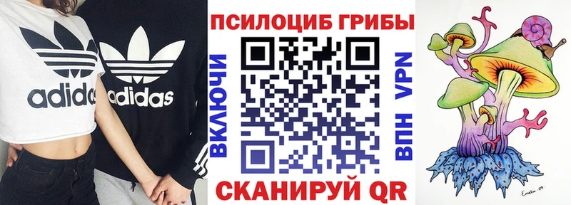 Псилоцибиновые грибы Psilocybe  Руза 